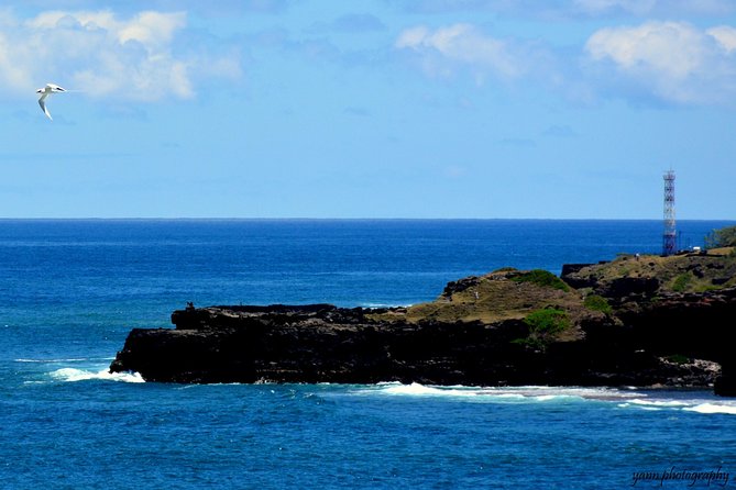 Sweet Scenic 30KM - Is $198.66 a fair price?