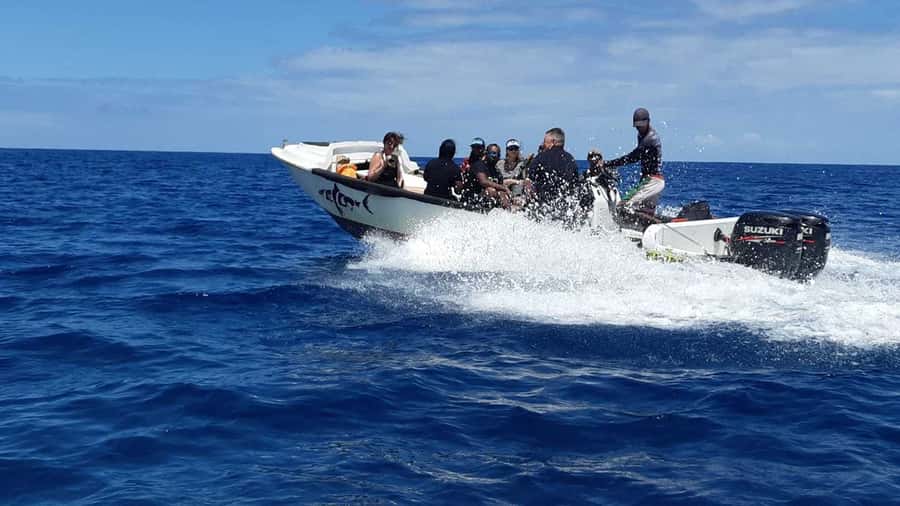Tamarin Bay: Beginners Scuba Diving Experience - The first 30 minutes: forms, equipment, and basic skills
