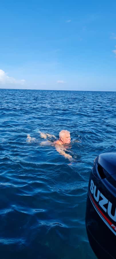 Tamarin: Dolphin Snorkel, CrystalRock, ile o Benitiers Lunch - Ile aux Benitiers and the local beach BBQ