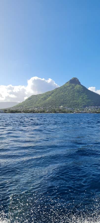 Tamarin: Dolphin Snorkel, CrystalRock, ile o Benitiers Lunch - Who will enjoy this trip most