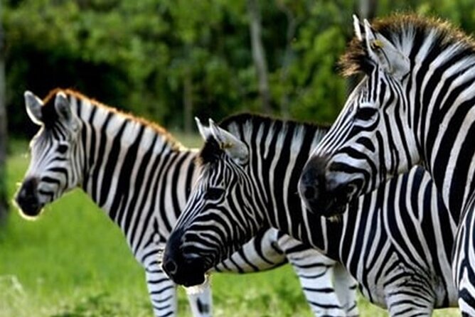 >>TAXI ONLY<< to la vallée des couleurs OR CASELA. - Buying tickets before you arrive