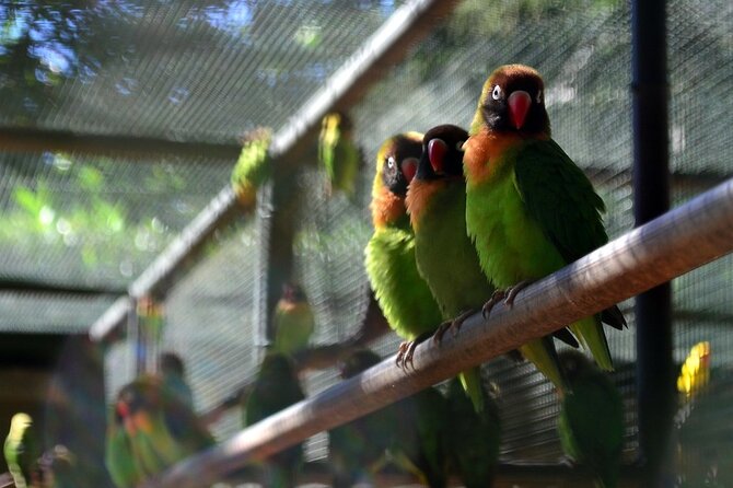 >>TAXI ONLY<< to la vallée des couleurs OR CASELA. - Is $100 good value for your group?