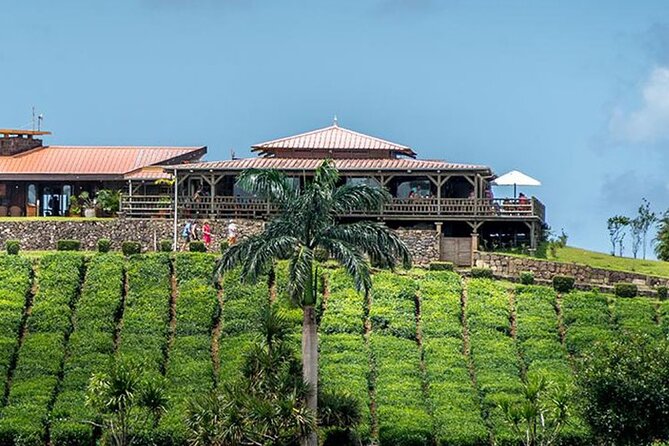 Tea Experience in the Exotic South of Mauritius Private tour. - Takamaka Lychee Wine Is a Fun Extra, Not a Free Inclusion
