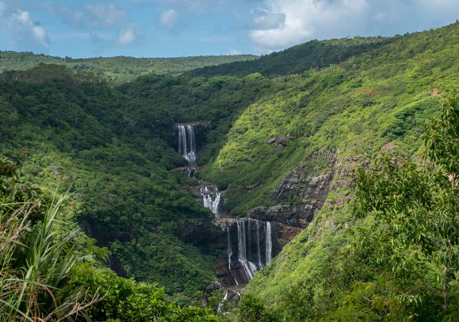 Tea Route: Lake, Forest, Tea Plantation & 3 Course Lunch - Why this route works for one full day