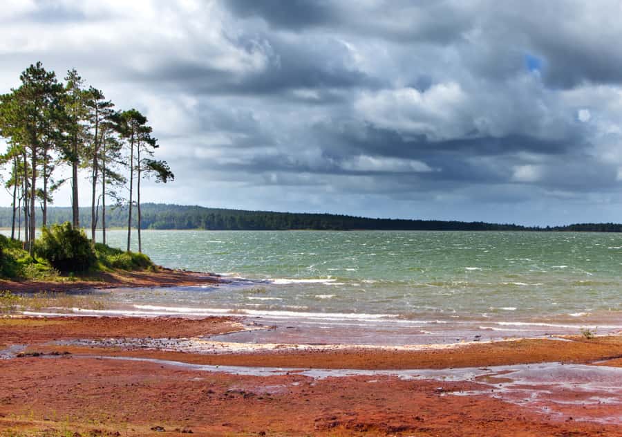 Tea Route: Lake, Forest, Tea Plantation & 3 Course Lunch - What the guide adds to the experience