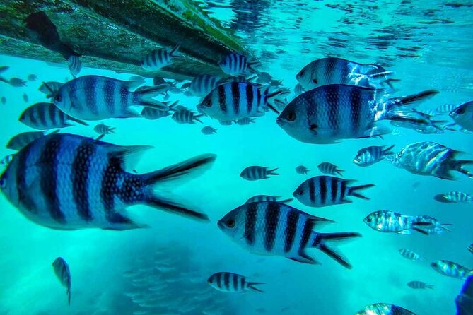 The Adventure East of Mauritius: 3-Watersport Activities & Blue-Bay Marine Park - Frederik Hendrik Museum connects Mauritius to its first settlements