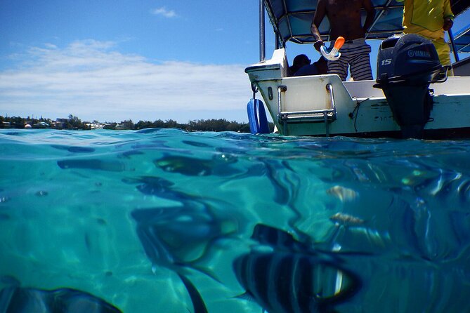 The beautiful East of Mauritius:incl Blue-Bay Marine Park, Crocodile park &Lunch - A three-course lunch before Mahebourg’s museums