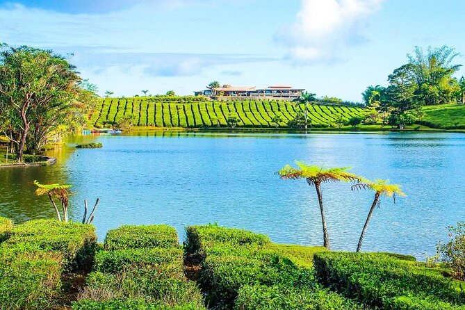 The East Discovery Tour: Bois-Cheri Tea Factory, Blue-Bay Marine Park & Lunch - Frederick Hendrick Museum and the Dutch beginnings of Mauritius