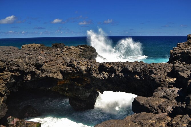 The East of Mauritius: Full-day incl visit to Ile aux Aigrettes & Lunch - Lunch and the Mahebourg Museum visit