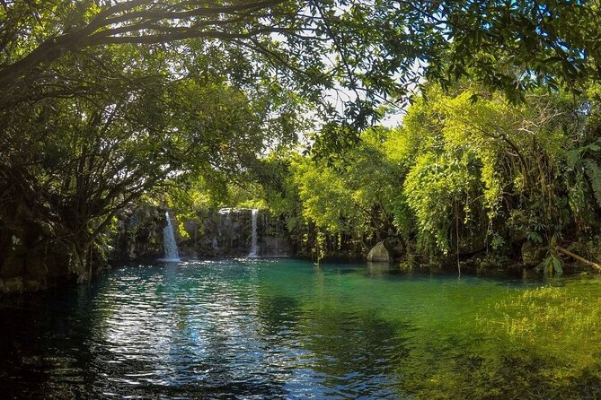 The Hidden Treasures of Mauritius, ALL INCLUSIVE Day Trip, Private SUV Car - La Roche Qui Pleure: watching the rock appear to weep