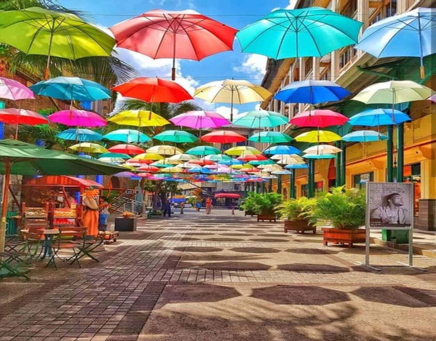 The must-sees of Mauritius - Key points to know before booking
