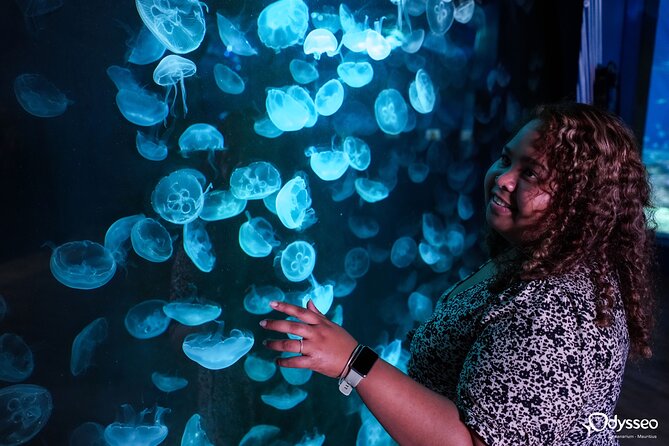 Ticket to the largest Oceanarium of the Mascarene Islands - What Odysseo Oceanarium offers in Port Louis