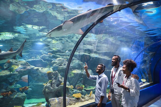 Ticket to the largest Oceanarium of the Mascarene Islands - Seeing 45 habitats and the main aquarium