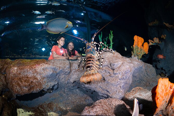 Ticket to the largest Oceanarium of the Mascarene Islands - Meeting around 200 species from the Indian Ocean