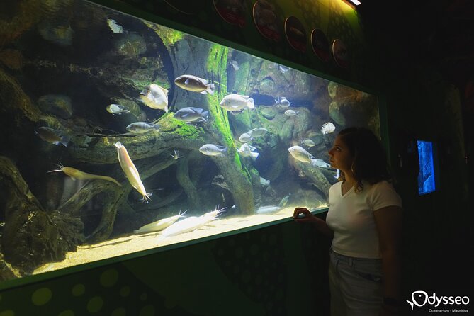 Ticket to the largest Oceanarium of the Mascarene Islands - Why the conservation message matters