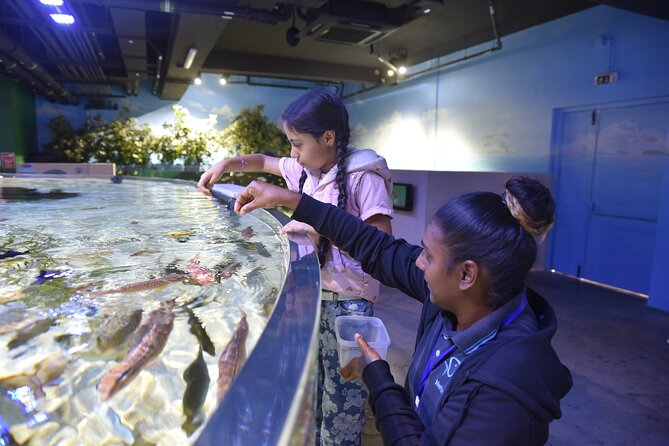 Ticket to the largest Oceanarium of the Mascarene Islands - How long to spend inside