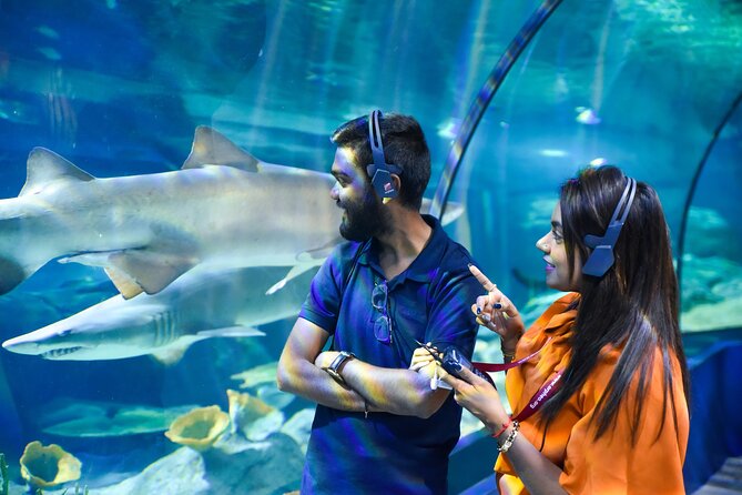 Ticket to the largest Oceanarium of the Mascarene Islands - Beginning with the mobile ticket