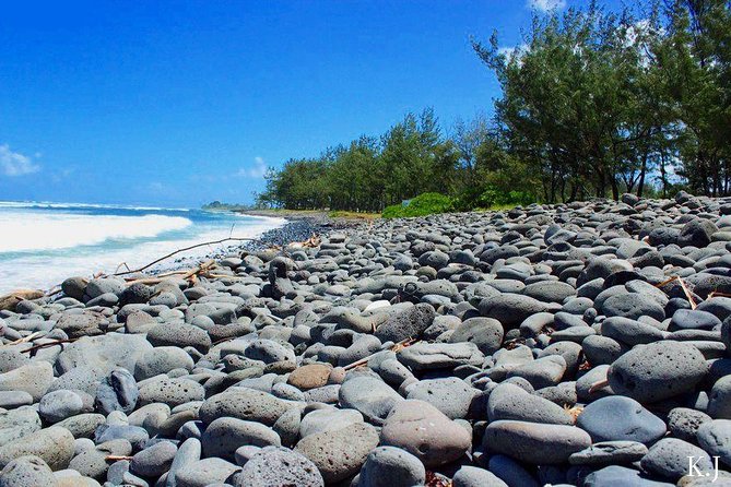 Tropical South West of Mauritius: Full-day All Inclusive tour (Visit to 3 parks) - Chamouny Waterfall offers a short nature stop