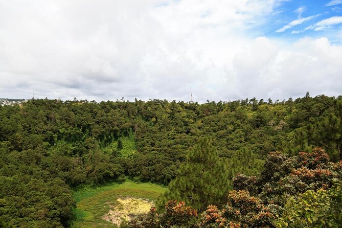 Tropical South West of Mauritius: Full-day All Inclusive tour (Visit to 3 parks) - Mare aux Vacoas is quiet, but not a headline stop