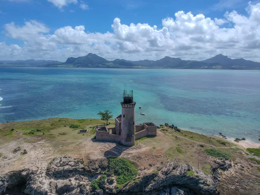 Trou d'Eau Douce: 5 Island Adventure with BBQ & Snorkeling - Fouquets Island, dolphins, and the wildlife luck factor