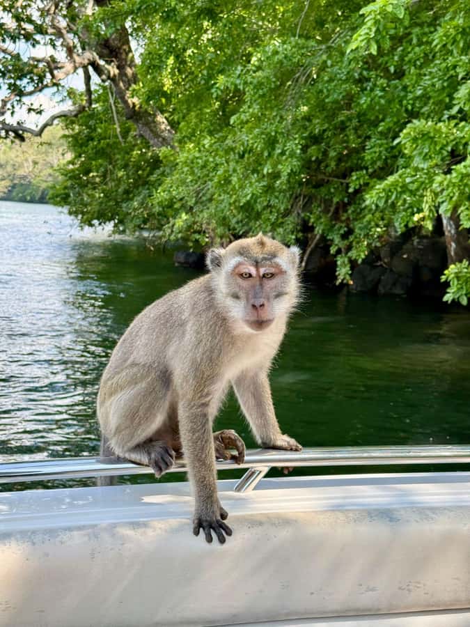 Trou D'Eau Douce: 5 island tour Mauritius with lunch/drinks - Five useful things to know before booking