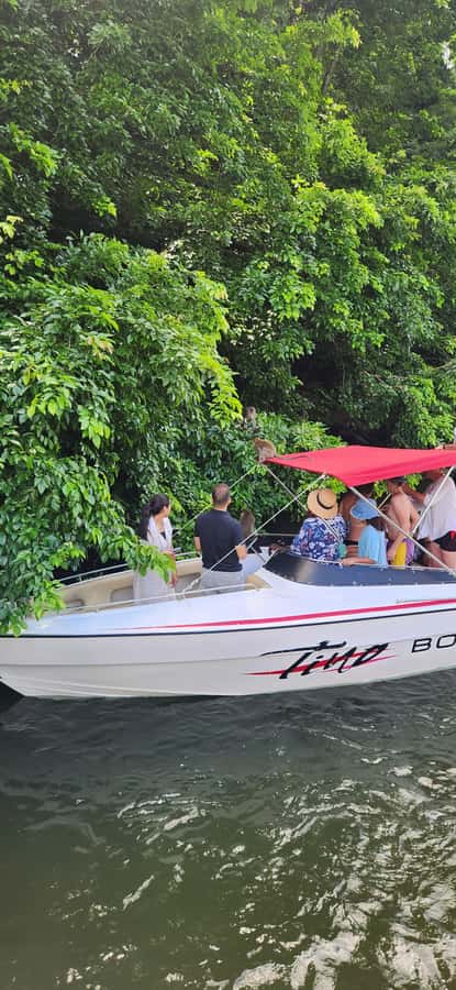 Trou D'Eau Douce: 5 island tour Mauritius with lunch/drinks - Snorkeling in the Mauritian lagoon