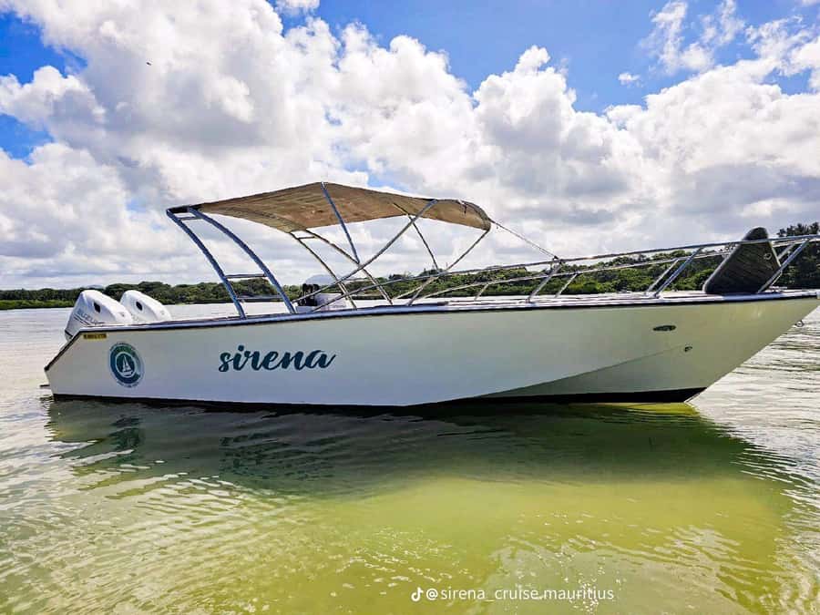 Trou d'Eau Douce: Waterfall and Ile aux Cerfs Day Trip - Key points to know before booking