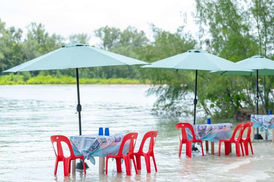 Trou d'Eau Douce: Waterfall and Ile aux Cerfs Day Trip - Starting at Trou d’Eau Douce’s fish landing station