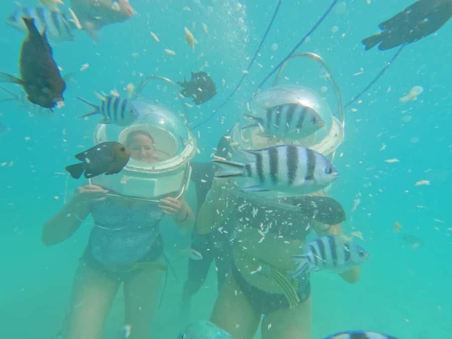 Undersea Walk & Beaches in The North With Transportation - A full day that begins near Grand Baie