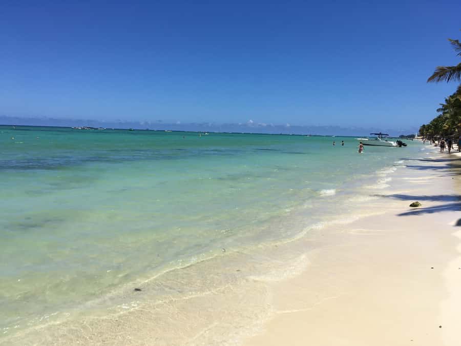 Undersea Walk & Beaches in The North With Transportation - Who will enjoy this experience most