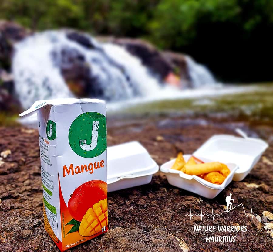 Vacoas-Phoenix: Private Hiking Tour to Tamarind Falls - How difficult is the Tamarind Falls hike?