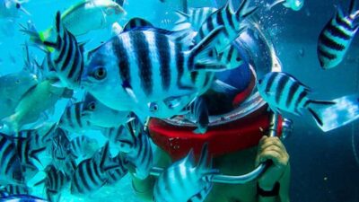 Walking under the sea in Mauritius with transfer