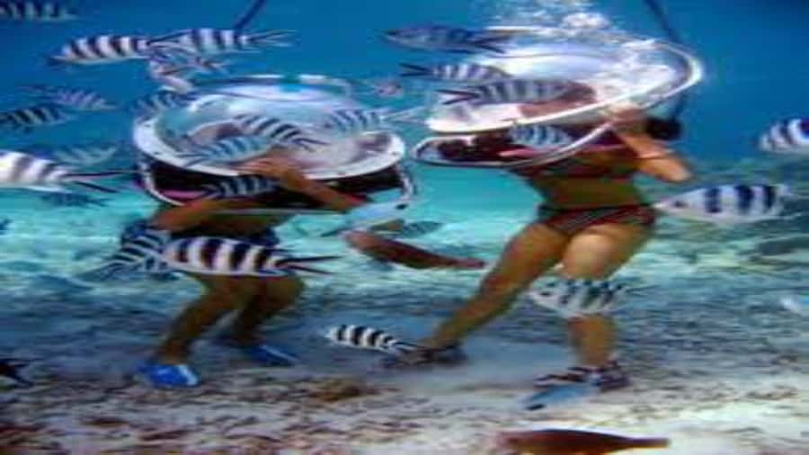 Walking under the sea in Mauritius with transfer - The wait between the water and the hotel