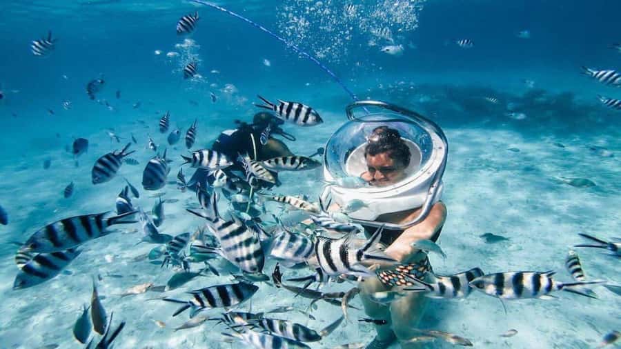 Walking under the sea in Mauritius with transfer - What I would pack and plan