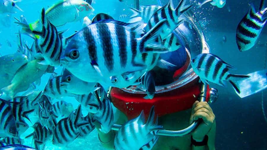 Walking under the sea in Mauritius with transfer - From Belle Mare beach to the lagoon platform