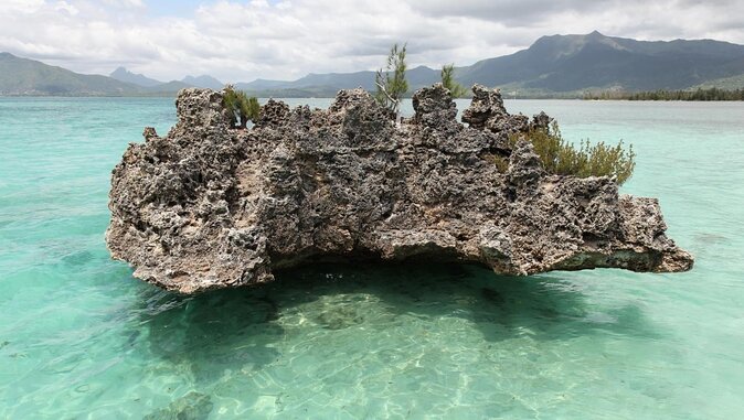 WEST Shared Cruise : OCÉANE Full Day Catamaran Ile aux Bénitiers - Key points to know before booking