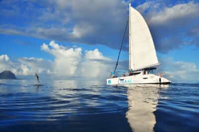 WEST Shared Cruise : OCÉANE Full Day Catamaran Ile aux Bénitiers