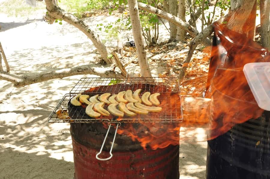 West: Swim wz dolphins, Crystal Rock, Lunch Benitiers island - What the $72 price really covers