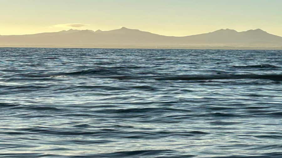 Whale & Dolphins Swimming - Private Speedboat Exclusive Tour - Crew service, communication, and safety