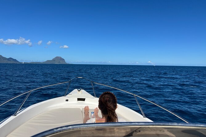 Whale Watching and Private Ocean Safari Experience in Mauritius - Who should book this experience?