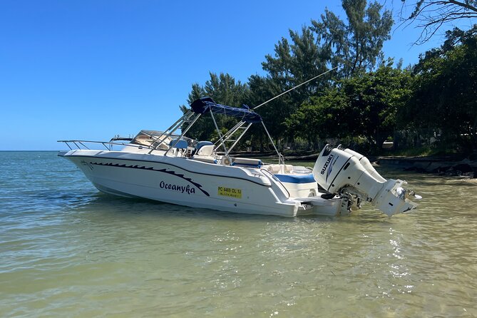 Whale Watching and Private Ocean Safari Experience in Mauritius - Offshore between Le Morne and Albion