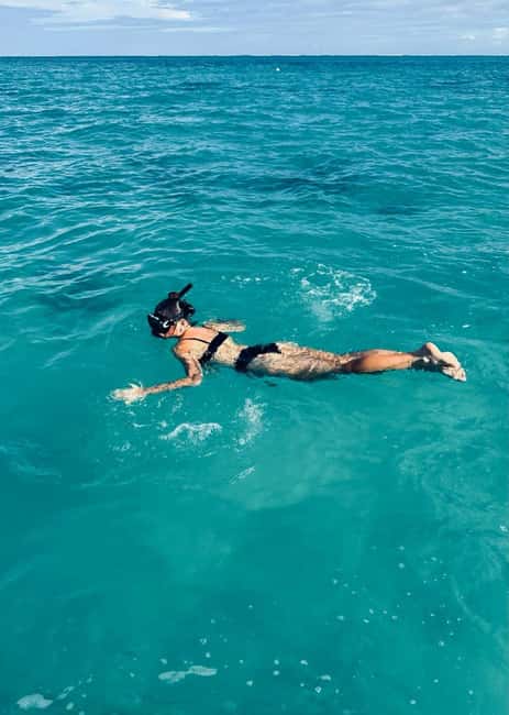 Wild Dolphin Encounter & Snorkeling Adventure – Mauritius. - Key points before you book