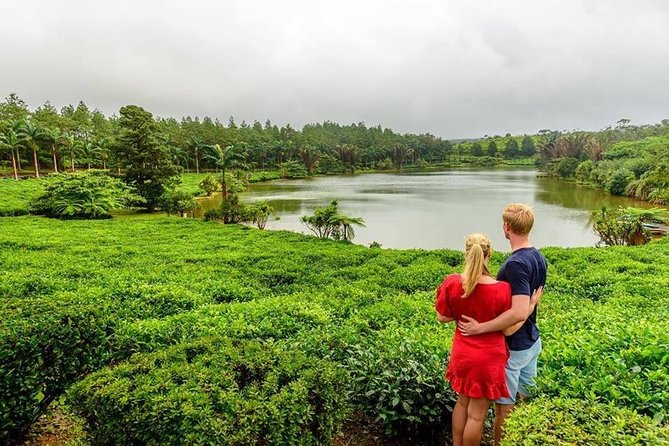 Wild South: Full-Day tour incl Rhumerie St Aubin, Bois cheri Tea factory & Lunch - Trou aux Cerfs: A Volcano with a Forest Around It