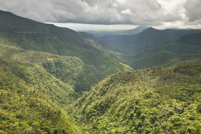 Wild South: Full-Day tour incl Rhumerie St Aubin, Bois cheri Tea factory & Lunch - Lunch, Transport, and the Real Value of $143.72