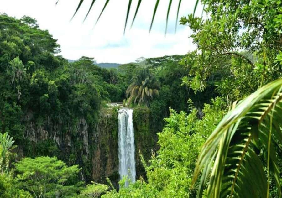 Wild South West Private Tour with pick up - Trou Aux Cerfs and the high view over Curepipe