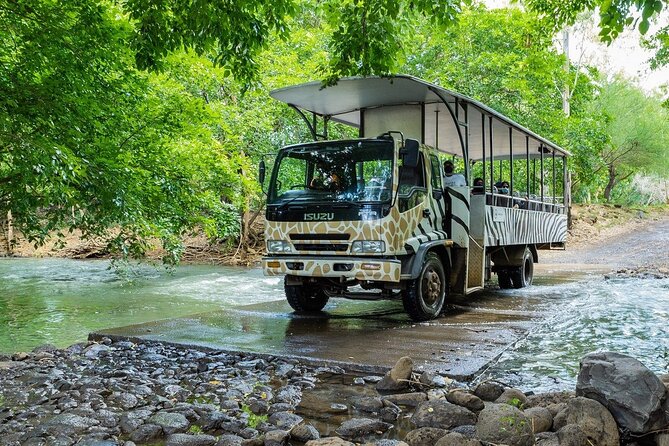 Wild South West Tour : SAFARI & TULAWAKA CASELA PARK & LE MORNE - Flic en Flac and the final beach photographs