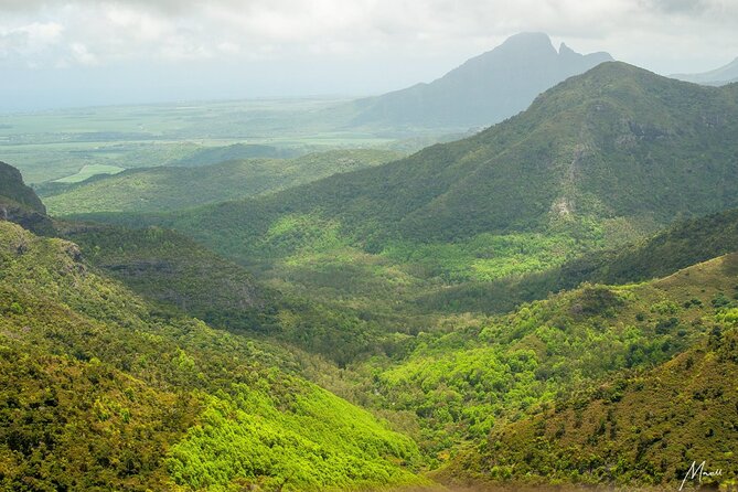 Wild South West Tour : SAFARI & TULAWAKA CASELA PARK & LE MORNE - The drivers and the value of a flexible schedule